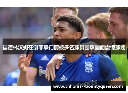 福德林汉姆在谢菲联门前被多名球员围攻画面震惊球迷