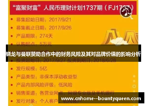 骁龙与曼联赞助合作中的财务风险及其对品牌价值的影响分析